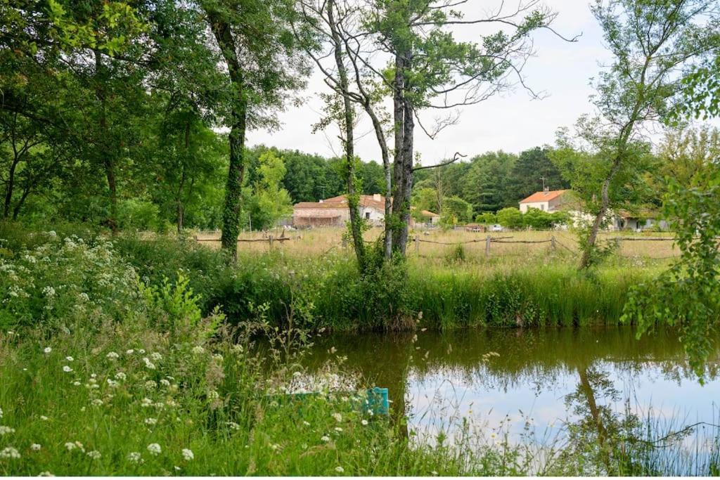 Вилла L'Evasion En Pierre Piscine Et Etang Prive Sevremoine Экстерьер фото